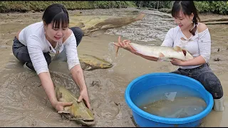 Joy and happiness when harvesting a huge catch of fish