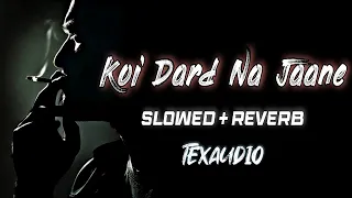 Koi Dard Na Jaane Song (Slowed+Reverb+Lofi) | Sahir Ali Bagga | Hay Rabba | Texaudio
