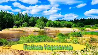 Восхитительная природа Керженского заповедника Нижегородской области🌲Экотропа Пойма Керженца🌳Россия