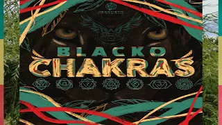 Blacko - Chakras promo mix(feat Sizzla/Pressure/Bushman/Turbulence/Mr Vegas/Samory I)Reggae mix 2024