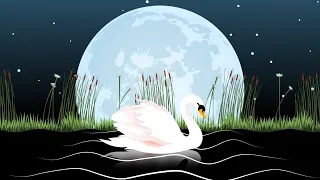 The Carnival of the Animals: XIII. The Swan - Animation Music Video | Sharlene Hsu