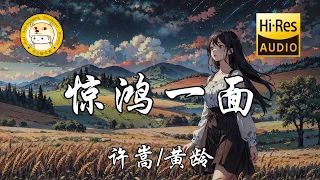 许嵩/黄龄 - 惊鸿一面「柳下闻瑶琴 起舞和一曲」动态歌词