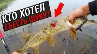 АТАКА НА ЩУКУ || Ловля щуки на воблеры с берега!