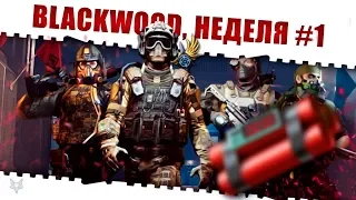 ЗАДАНИЯ BLACKWOOD ВАРФЕЙС!НЕДЕЛЯ КВЕСТОВ #1!КАК ЗАКРЫТЬ ЕЁ В WARFACE И ПОЛУЧИТЬ КЕЙСЫ И НАГРАДЫ?!