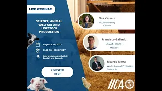 Webinar: Science, animal welfare and livestock production