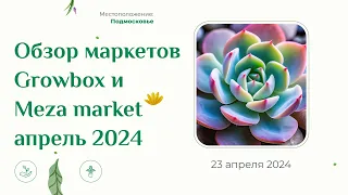 Обзор с двух маркетов растений Growbox market и Meza market 13 и 20 апреля 2024 Москва