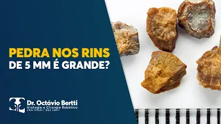 PEDRA NO RIM  DE 5 MM É GRANDE ? QUAL O TRATAMENTO PARA CÁLCULO RENAL PEQUENO?