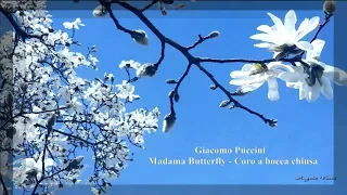 Giacomo Puccini   Madama Butterfly   Coro a bocca chiusa