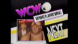 British Bulldog vs Vader   Worldwide July 10th, 1993