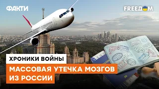 ІТ-сфера в России ВЫМЕРЛА: неужели в РФ остались жить только безмолвные зомби