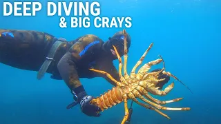 Deep Spearfishing and Huge Crayfish - Spearfishing Victoria