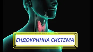 Ендокринна система. Поняття про залози внутрішньої, зовнішньої та змішаної секреції.