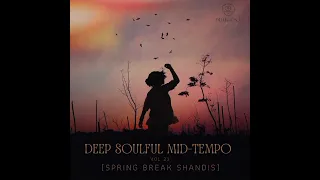 Deep Soulful Mid-Tempo Vol 23 Mixed By Dj Luk-C S.A (Spring Break Shandis) 1st September 2023