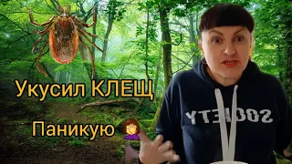 Как правильно поступить, если УКУСИЛ КЛЕЩ? 🪲Советы от паникующей после укуса клеща.