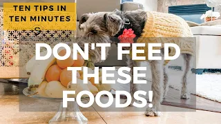 10 Tips in 10 Minutes: Don't Feed Your Schnauzer These Human Foods