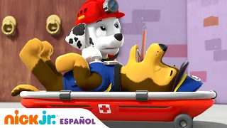 PAW Patrol, Patrulla de cachorros | ¡Chase se enferma! | Nick Jr. en Español