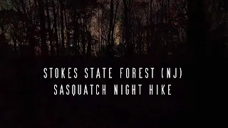 Bigfoot Research Hike in Stokes States Forest NJ