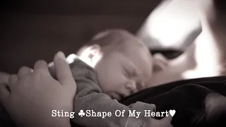 Sting - Shape of my Heart (Lyrics, 번역, 고음질, MV)