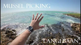 Mussel picking - Langebaan