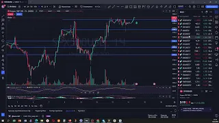 Обзор рынка. Отбор монет для торговли. Торговля в прямом эфире.