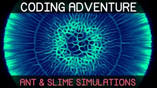 Coding Adventure: Ant and Slime Simulations