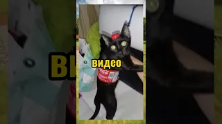 ВИРУСНЫЕ ВИДЕО / Кока-кола 😂