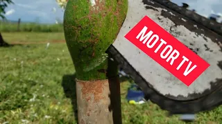 Moto Serra Vs Abacate!! Motor Serra cortando abacate em câmera lenta!