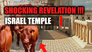 Red Heifers Arrive in Israel for Third Temple - Shocking Revelation!