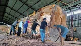 Trembesi wooden bomber destroyed worth 800 million!! Sawed board material I Sawmill