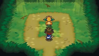 The rarest Pokemon encounter ever...