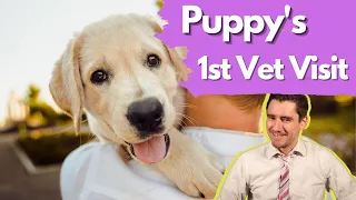 Your Puppy's First Vet Visit!  Dr. Dan covers five things to expect at your puppy's first vet visit.