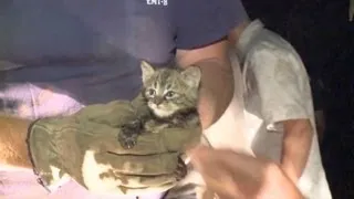 Firefighters use a tiny camera to help rescue a kitten