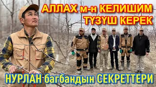 БАКТАН байлык ТАПКЫЛА  ~  Бардык СЕКРЕТТЕРИН ҮЙРӨНГҮЛӨ  ~  ИНТЕНСИВНЫЙ МЕТОДКО өткүлө