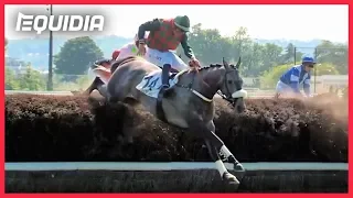 LES + GROS OBSTACLES D'AUTEUIL DÉCRYPTÉS ! | Grand Steeple Chase de Paris