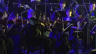 Zelda's Lullaby - Zelda Orchestra Concert [Nintendo Live 2024 TOKYO]