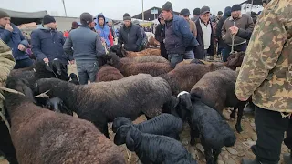 13-01-2024 QUY BOZORI SAMARQAND PASTDARGOM JUMA BOZORIDA ARZON BULDMI ?