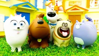 Видео про игры в Тайная жизнь домашних животных: Видео игрушки