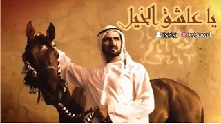 Equestrian song of United Arab Emirates يا عاشق الخيل - ميحد حمد