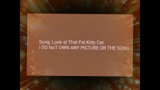 Secret life of Pets: Chloe is a Fat at Kitty cat Warning contain spoilers!!