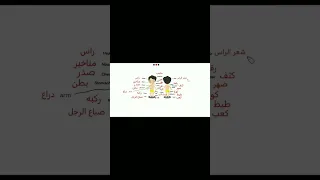 Learn the names of the body parts in the Egyptian Arabic language part #4 #egyptian #english #arabic