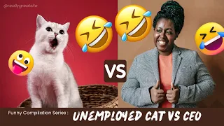Pet no way 🐕🐈😂| Funny pets 2023 | Funny cats🐈, Funny dogs🐕 #shorts #cats #youtubevideo #youtube