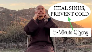 HEAL SINUS, PREVENT COLD | 5-Minute Qigong Massage