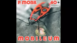 P.Mobil - Ötvenéves férfi (Mobileum - 2009) - dalszöveggel