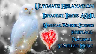 Ultimate Relaxation Music | Binaural Beats | Magical Winter Scenes | Natural Beauty ASMR | Fireplace