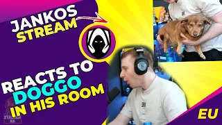 Jankos Reacts to Parents DOG on His Stream 😍 [WHOLESOME]