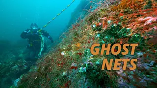 Divers Remove Deadly "Ghost" Net (Salish Sea Wild)