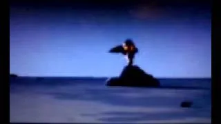 Roadrunner & Wile E Coyote Silent But Deadly CGI Short Cartoon With Sound Effects