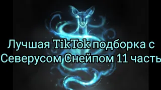 Лучшая TikTok подборка с Северусом Снейпом 11 часть