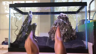 Aquascaping Tutorial - Hardscape and Dragonstone