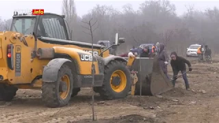 “Зелений гай   “ на місці колишнього смітнику